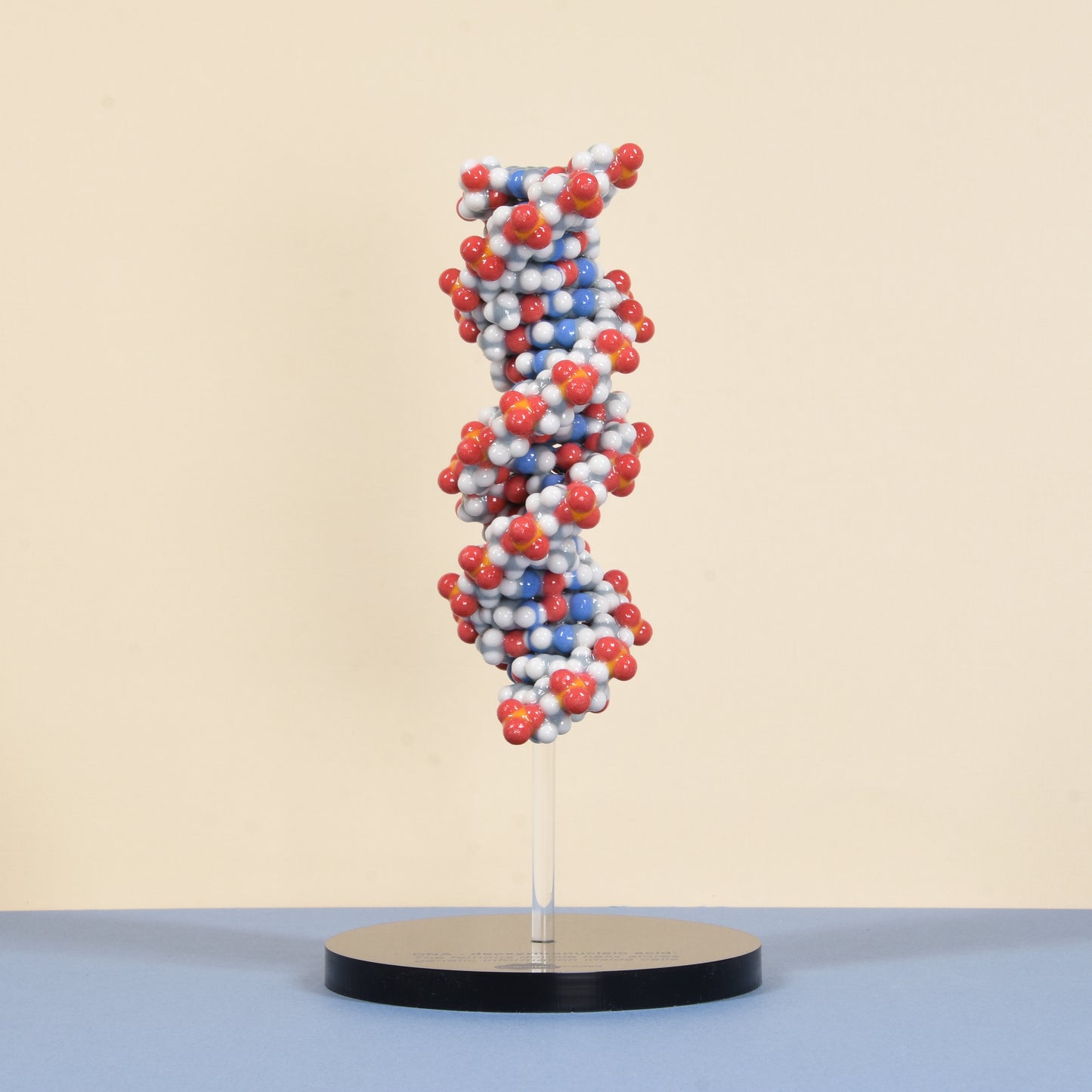 10 DNA (B-form)