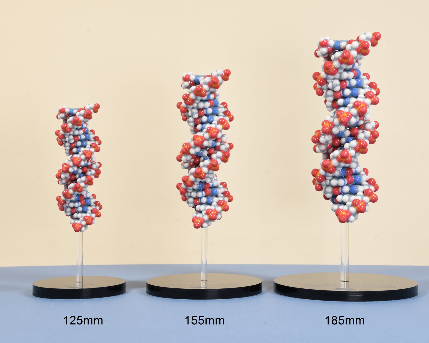 10 DNA (B-form)