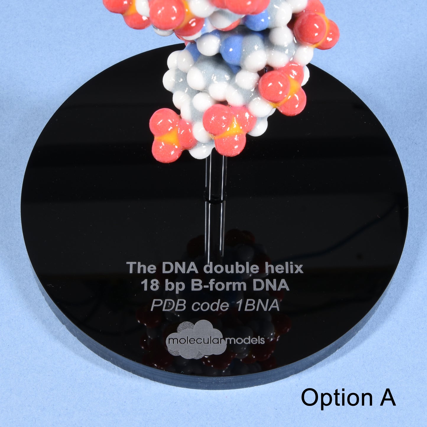 10 DNA (B-form)