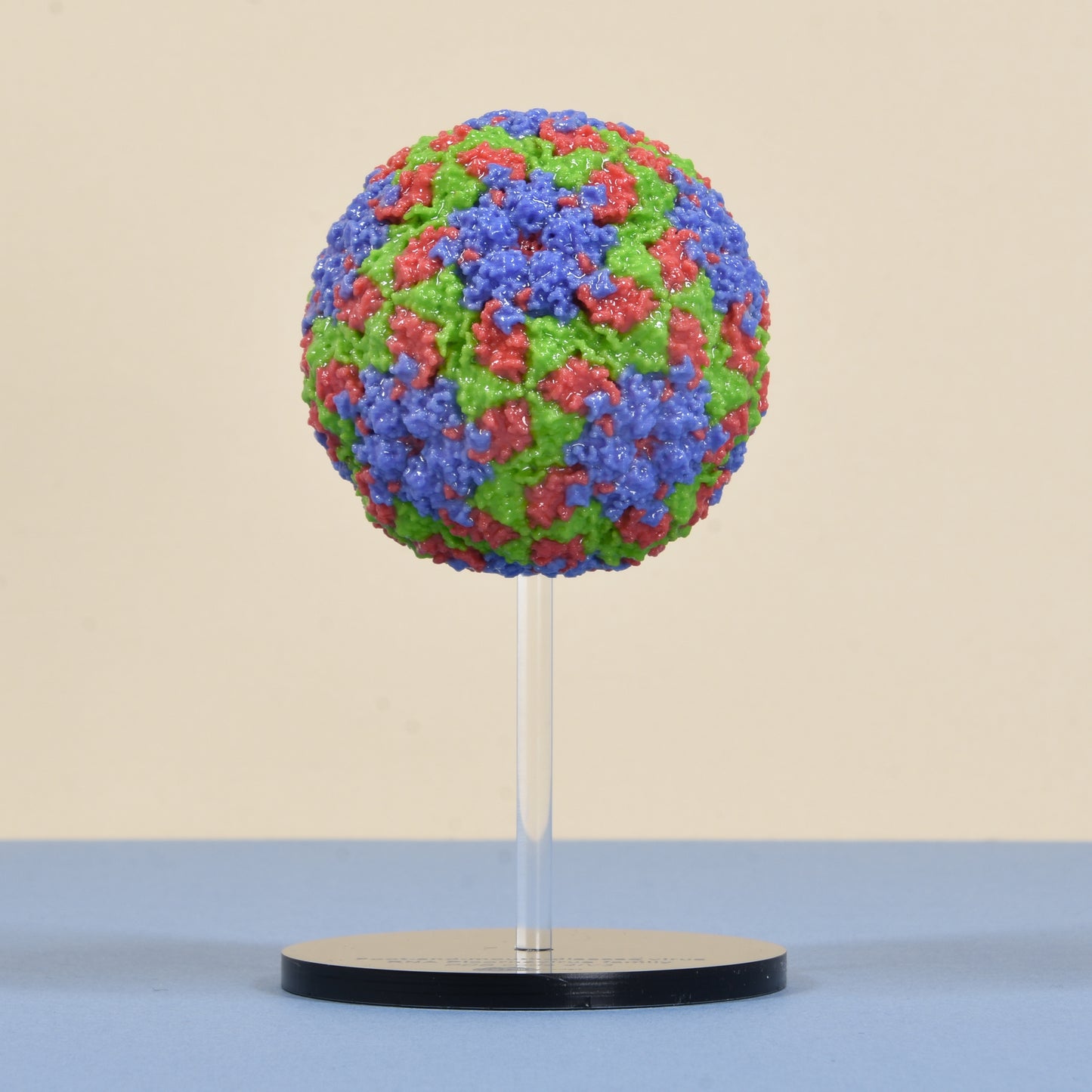 03 Foot-and-mouth virus