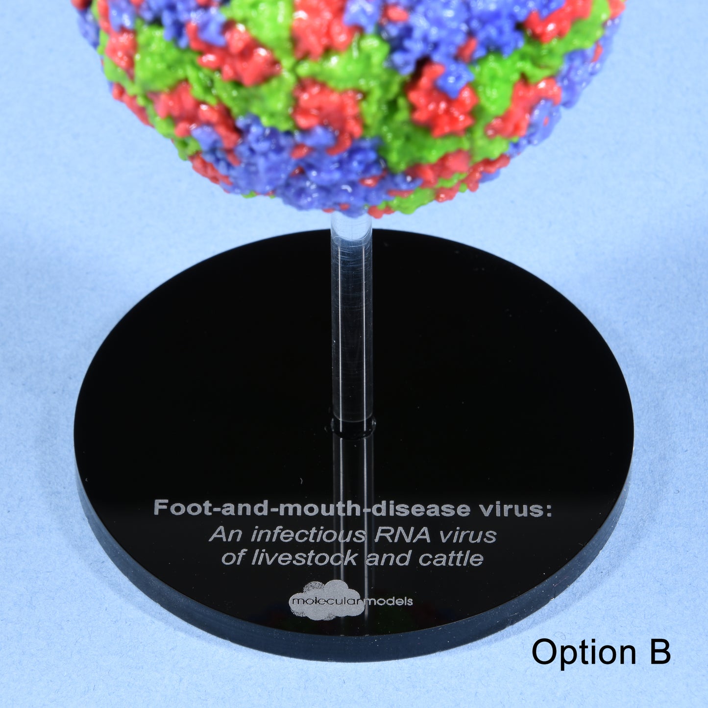 03 Foot-and-mouth virus