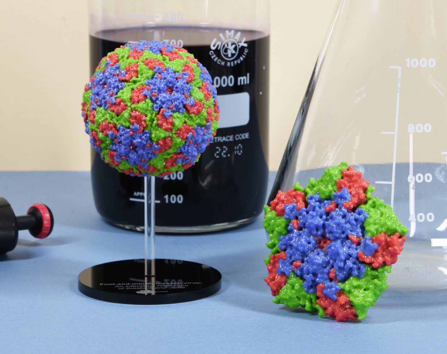03 Foot-and-mouth virus