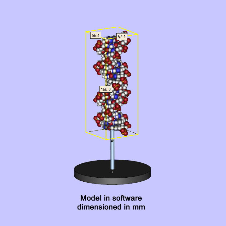 10 DNA (B-form)