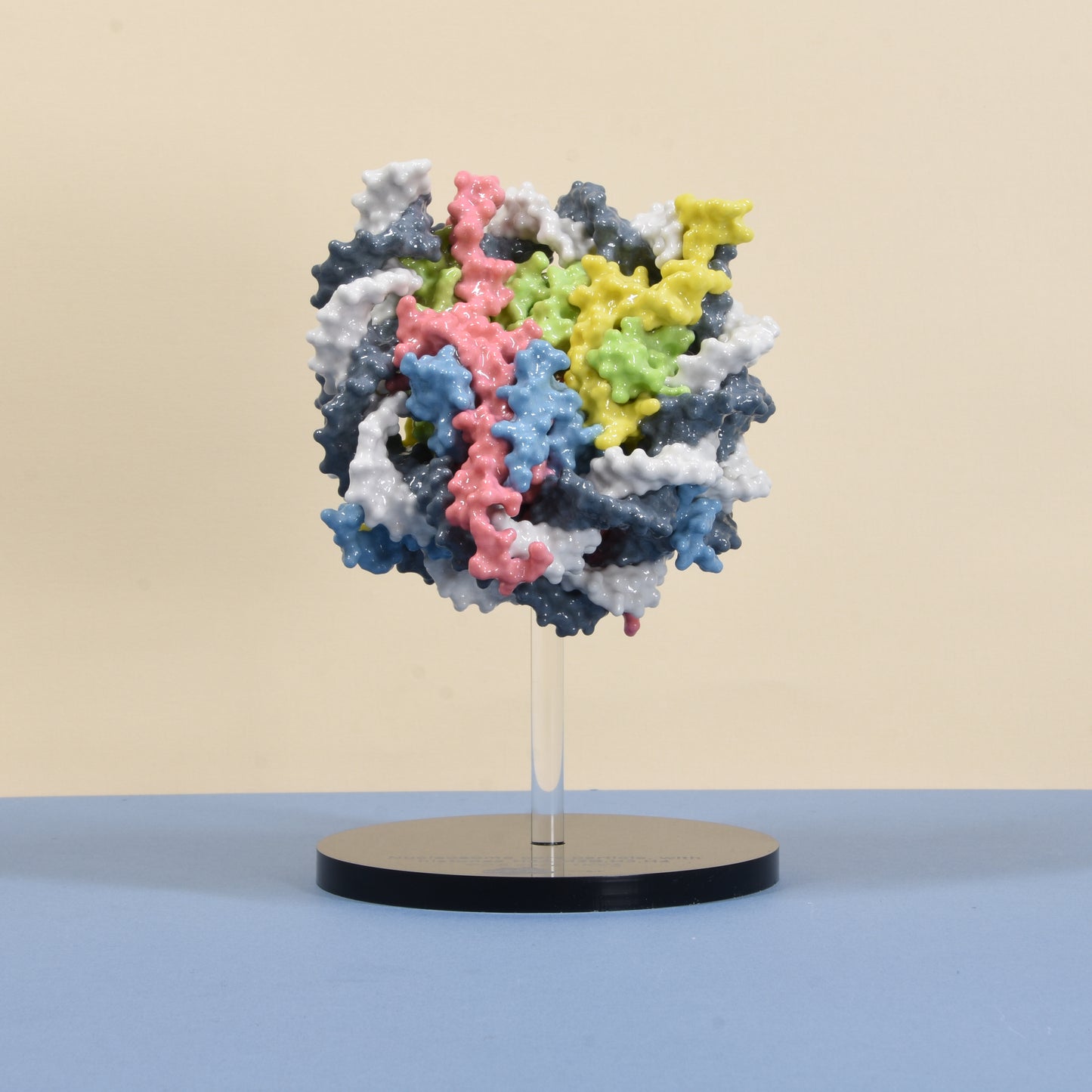 12 Nucleosome with DNA