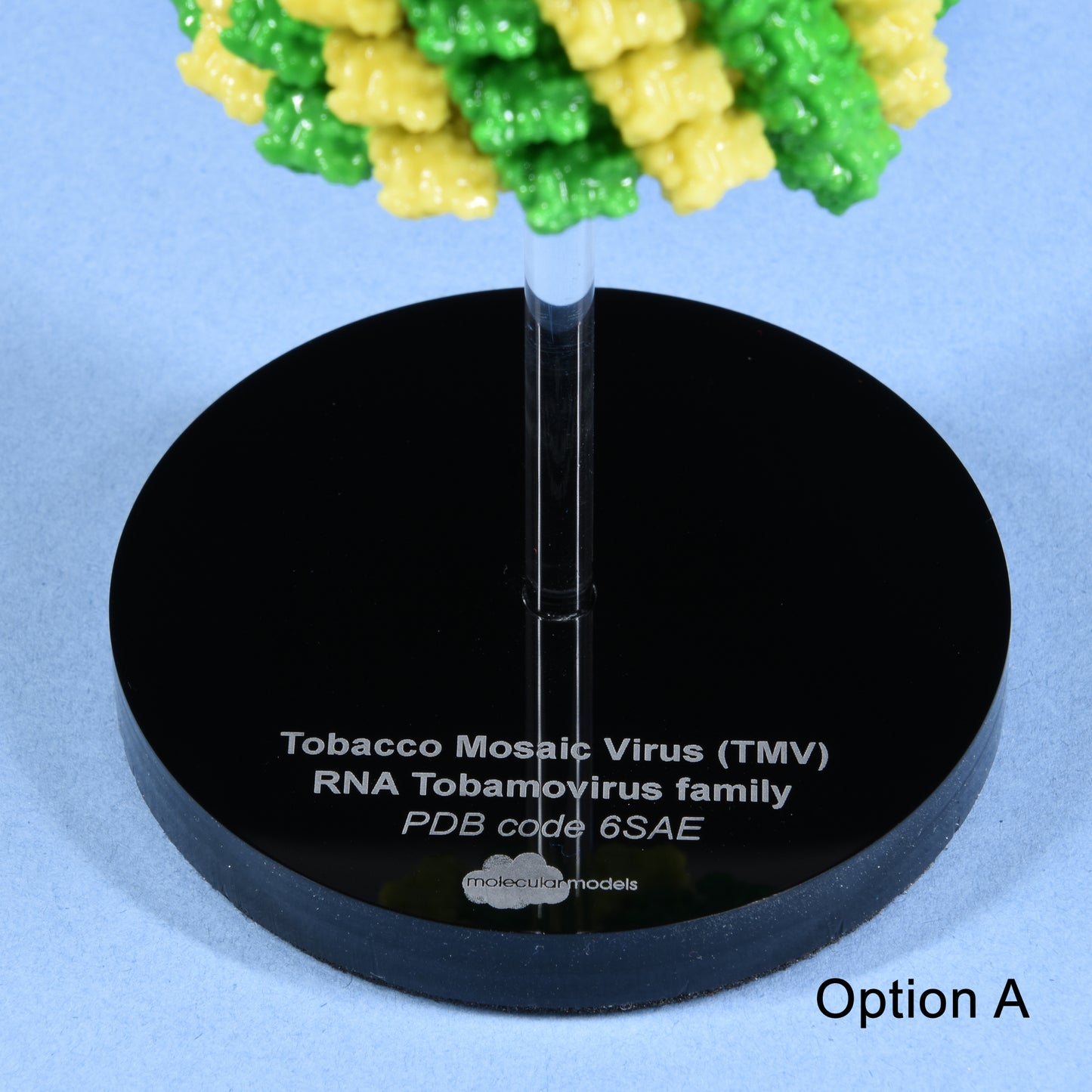 04 Tobacco mosaic virus (TMV)