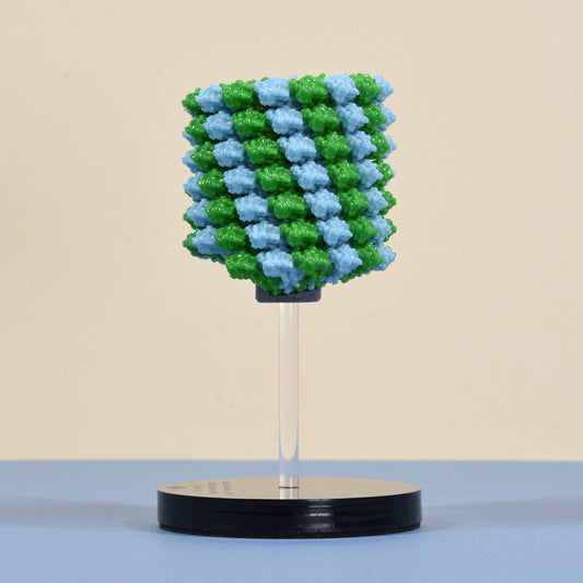 04 Tobacco mosaic virus (TMV)