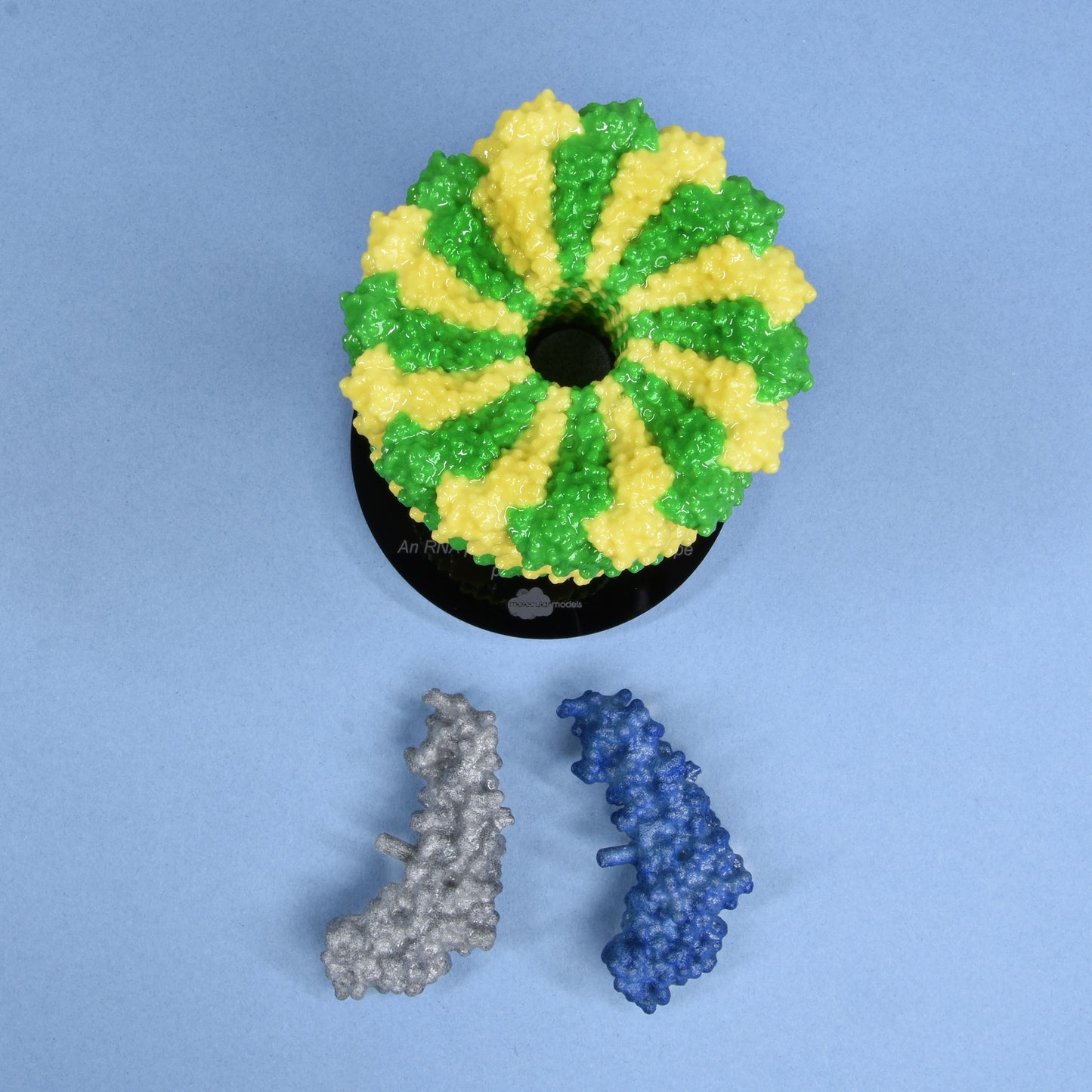 04 Tobacco mosaic virus (TMV)