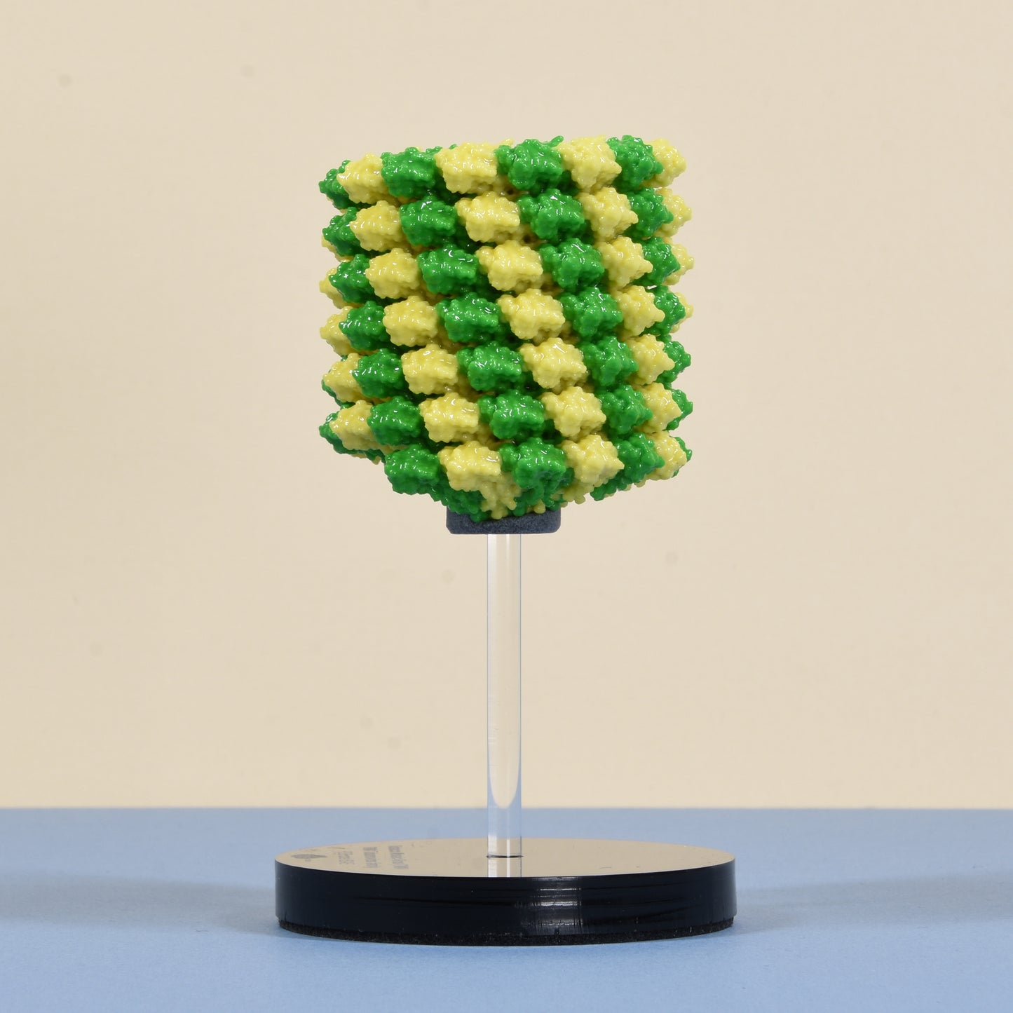 04 Tobacco mosaic virus (TMV)