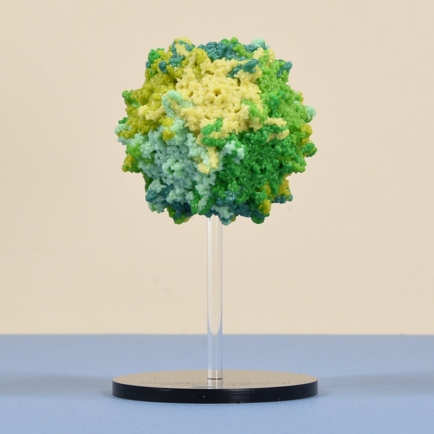 01 Adeno-associated virus