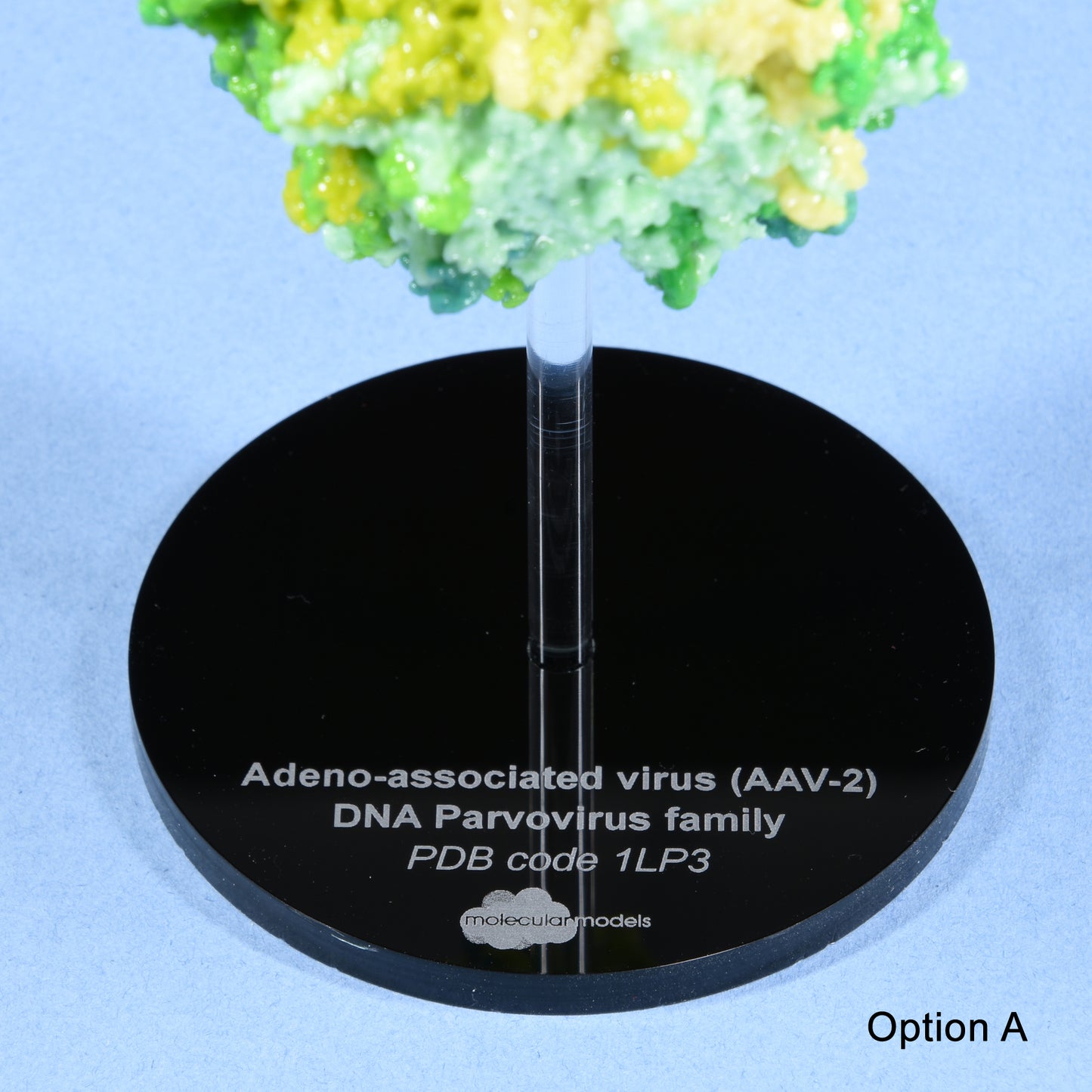 01 Adeno-associated virus