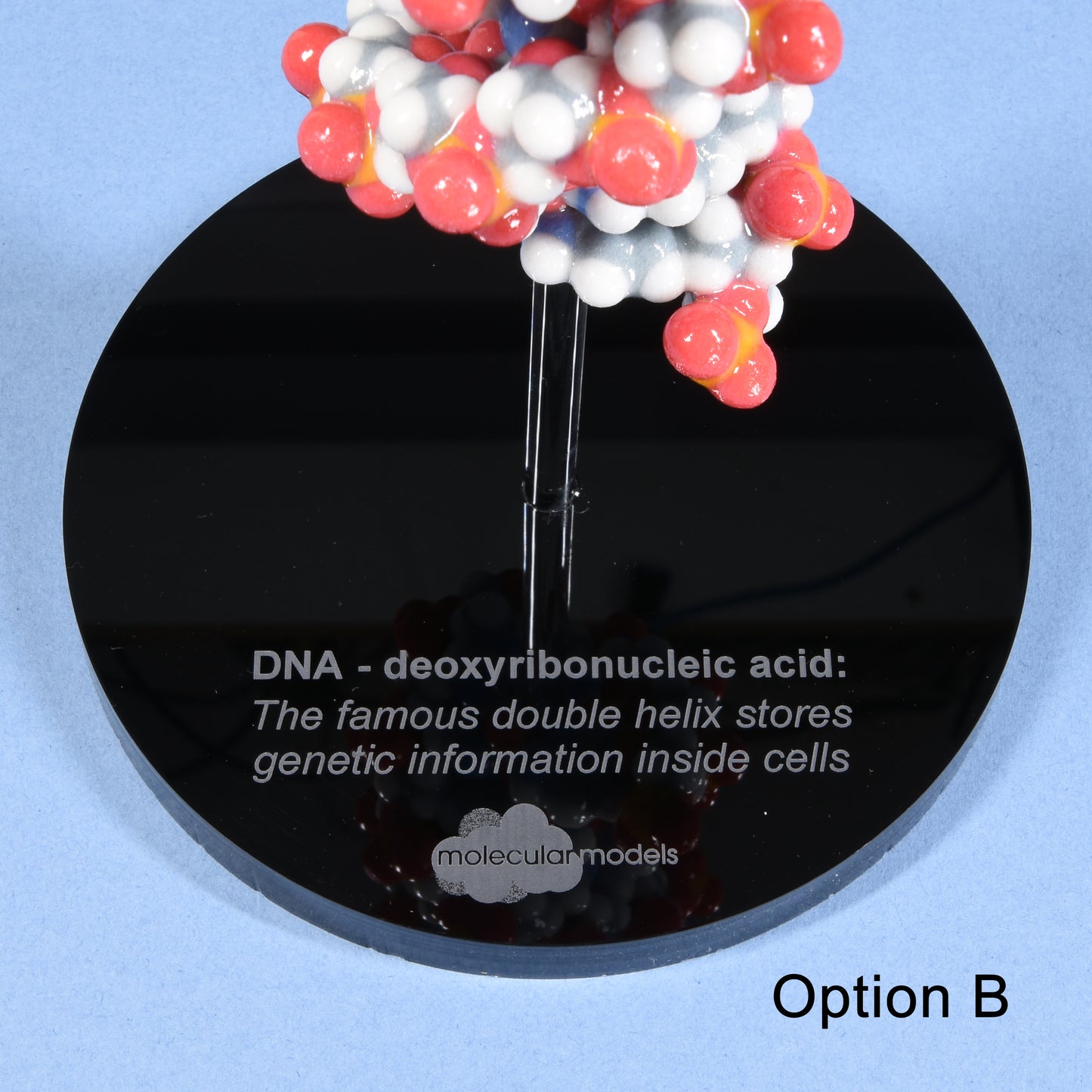 10 DNA (B-form)