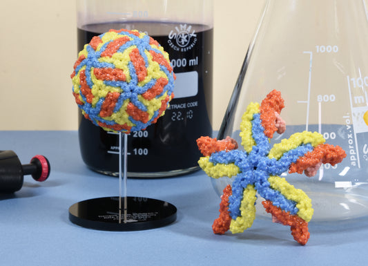 02 Dengue-fever virus