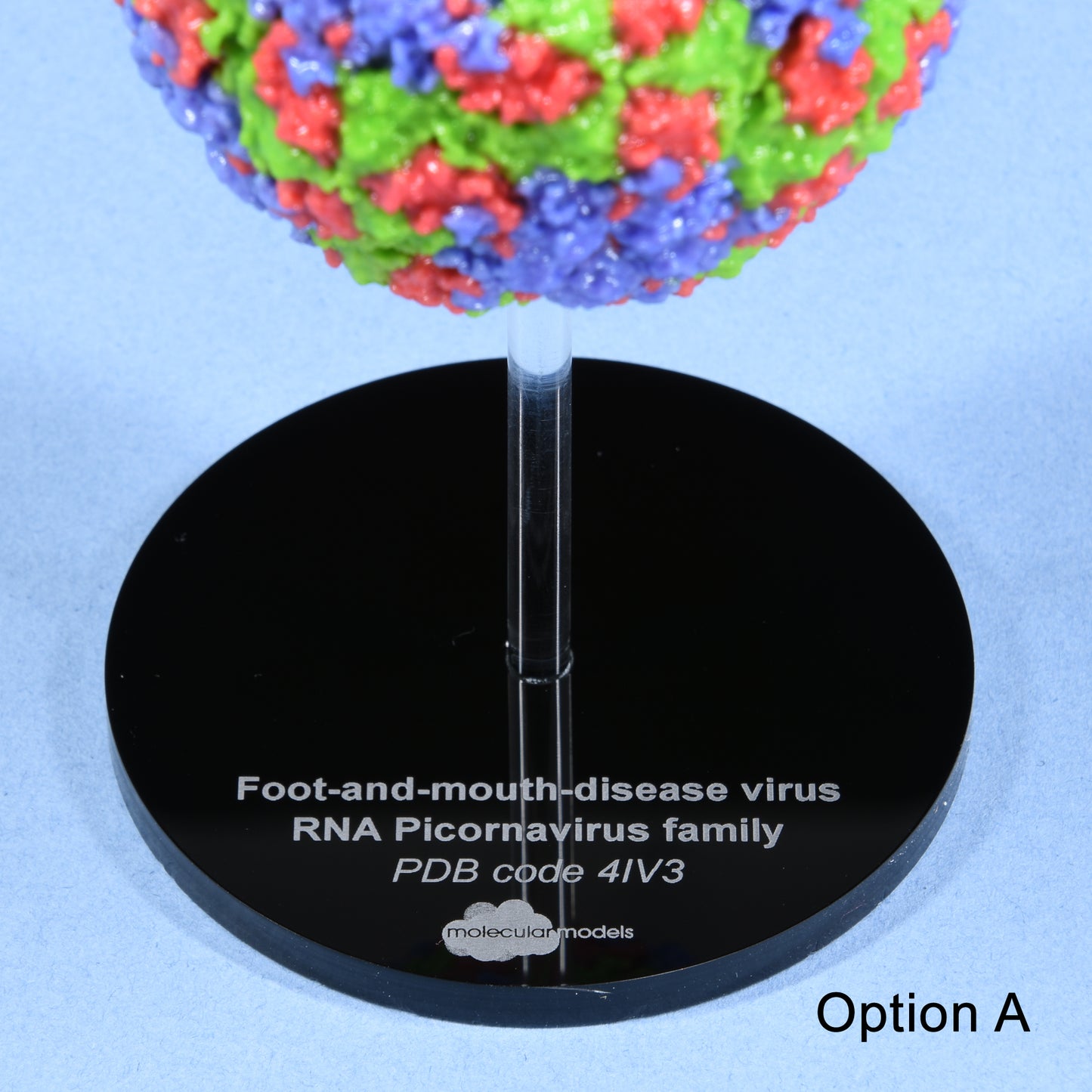 03 Foot-and-mouth virus