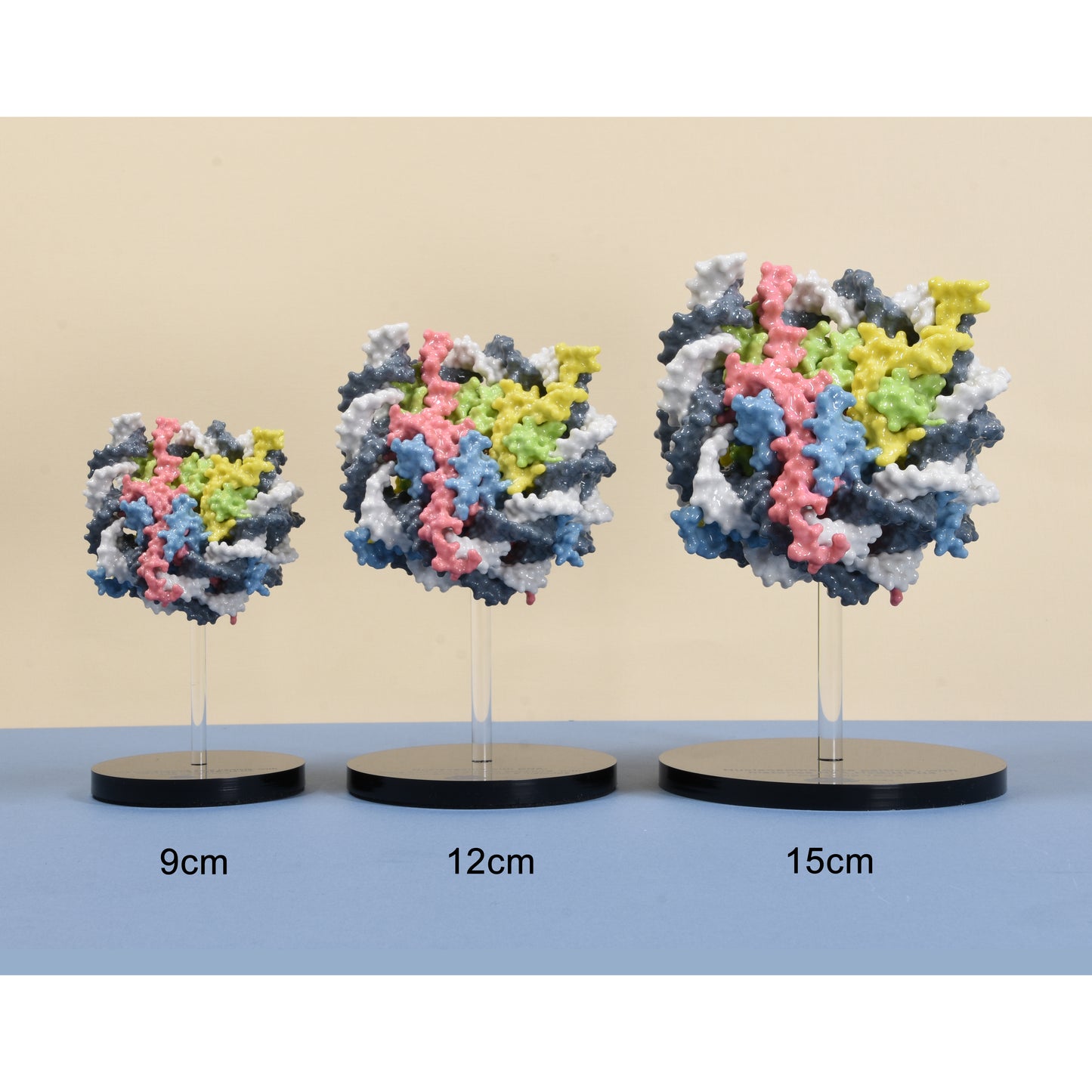 12 Nucleosome with DNA