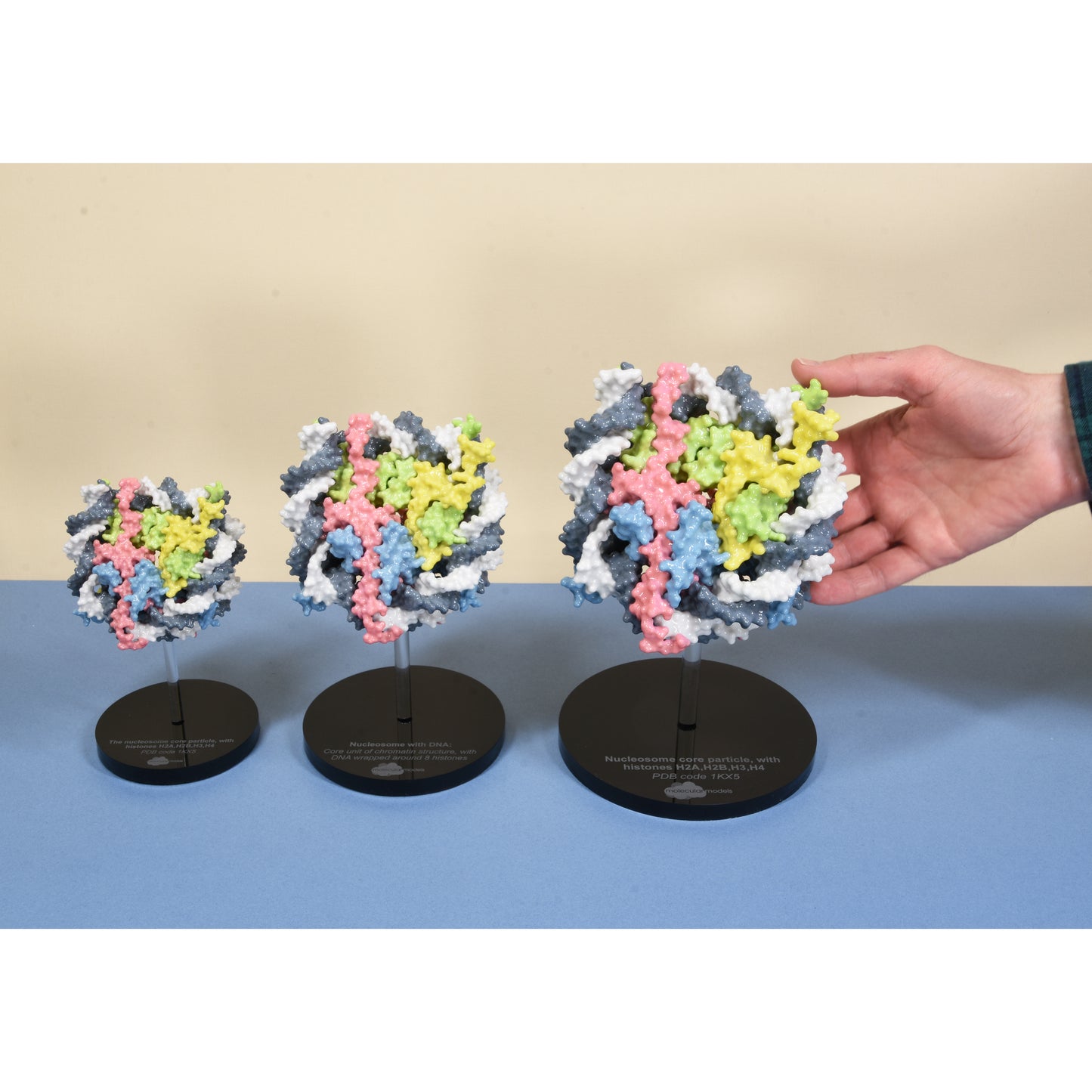 12 Nucleosome with DNA