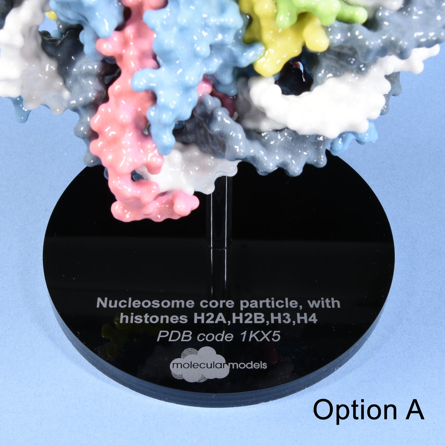 12 Nucleosome with DNA