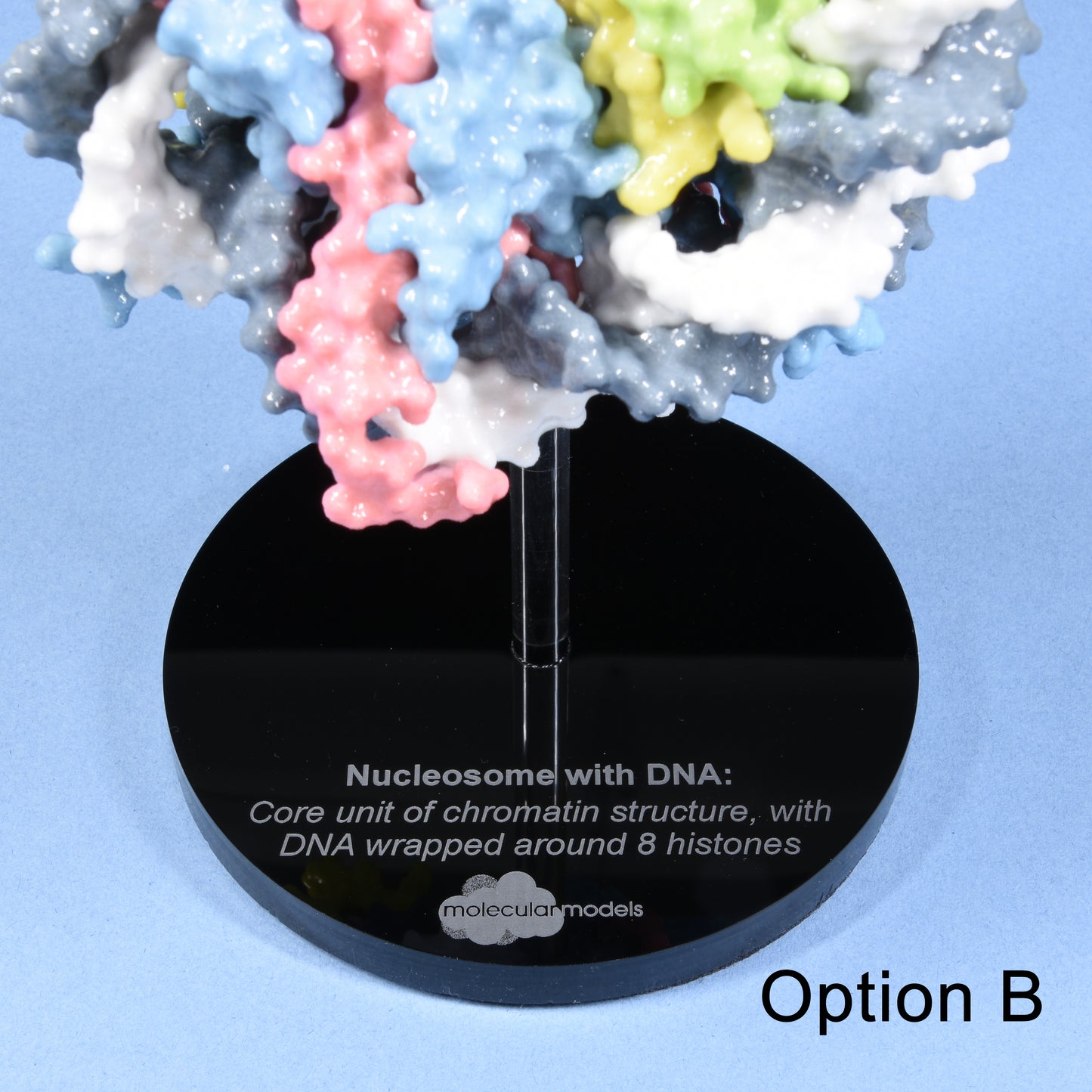 12 Nucleosome with DNA