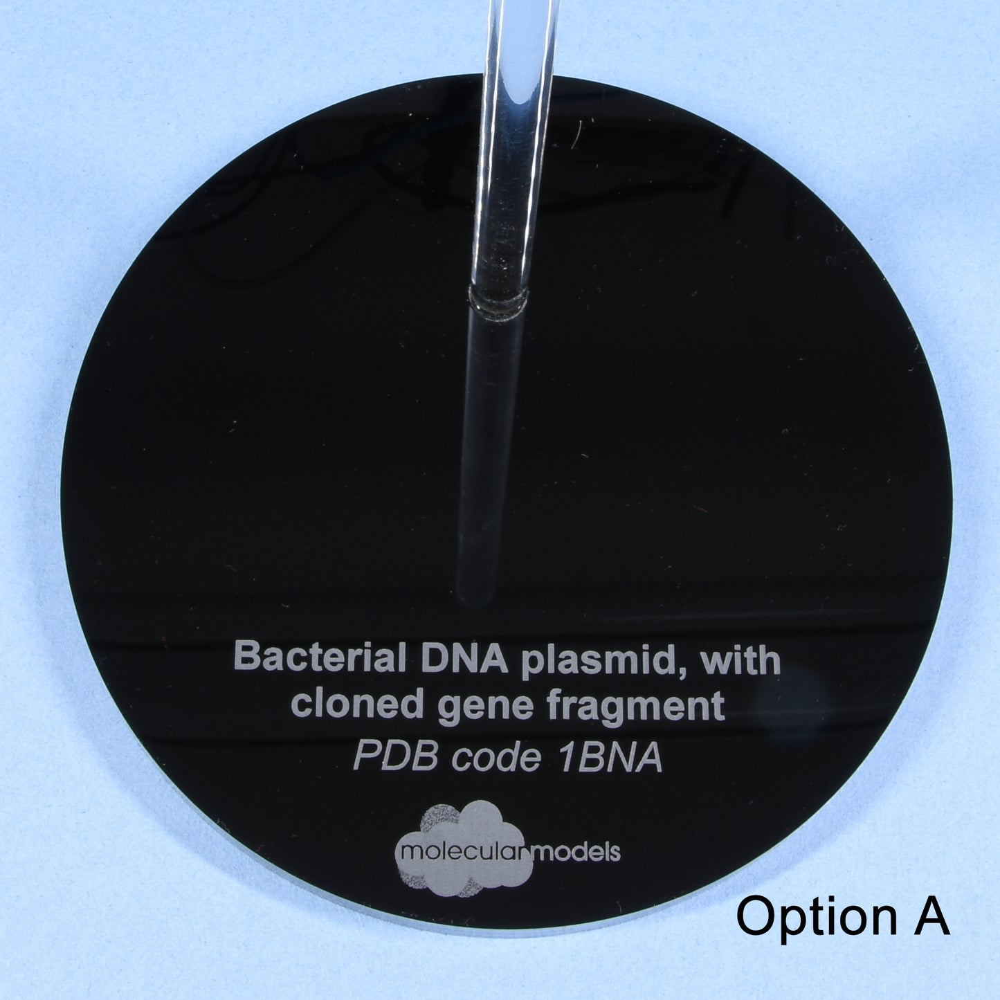 11 DNA Plasmid Cloning Model