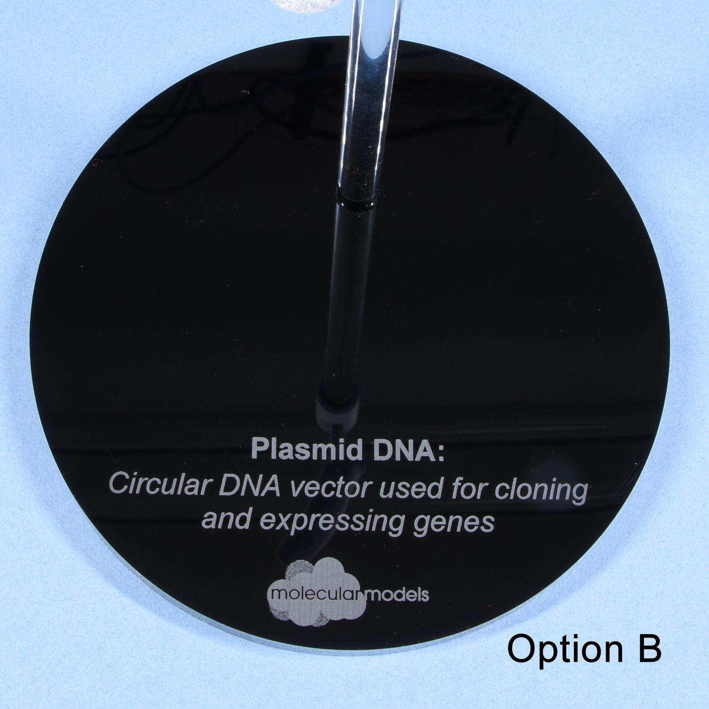 11 DNA Plasmid Cloning Model