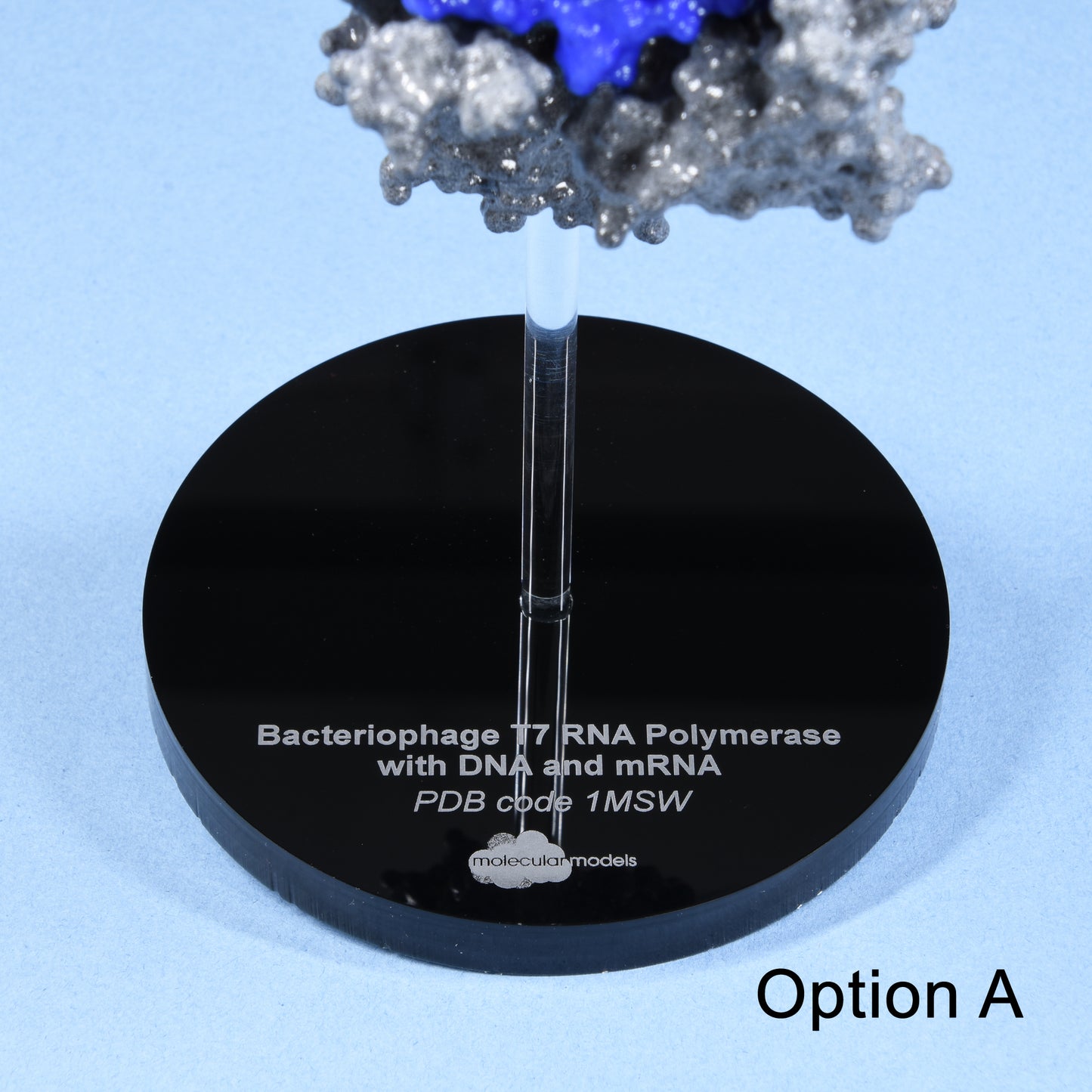 21 RNA Polymerase