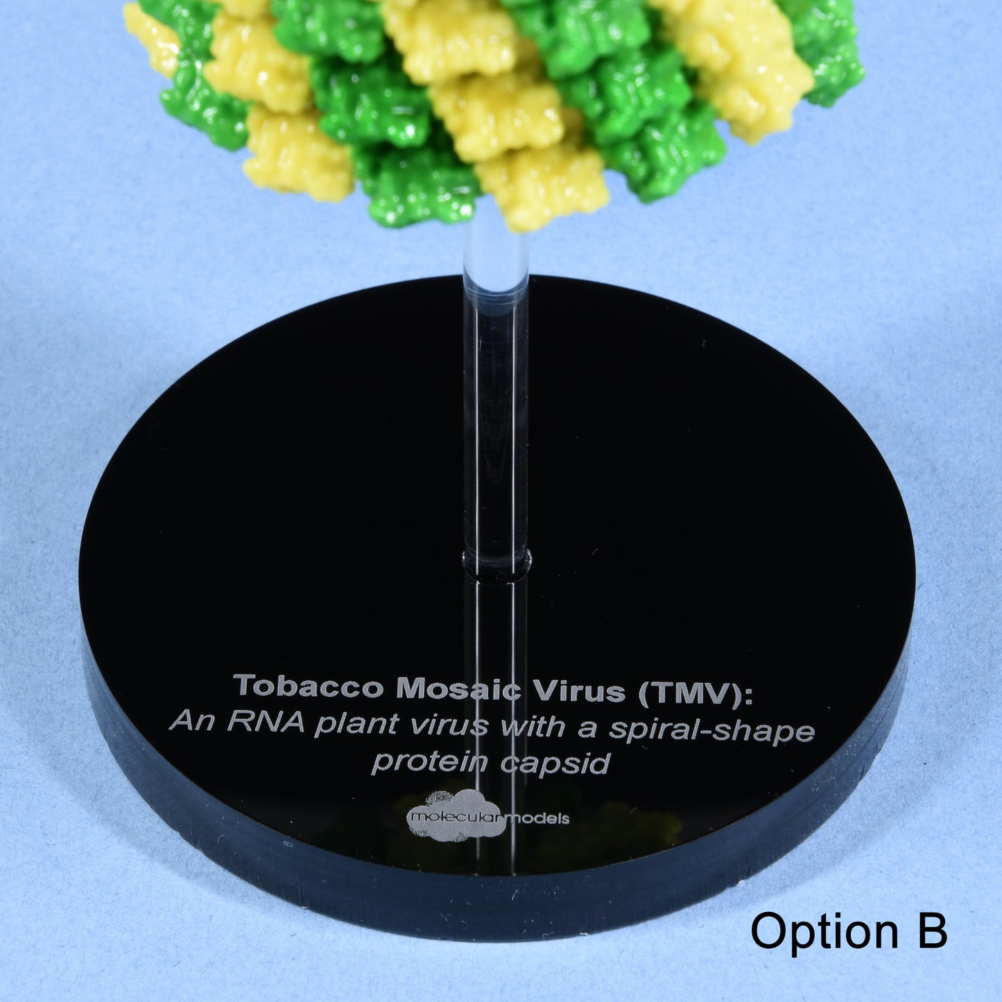 04 Tobacco mosaic virus (TMV)
