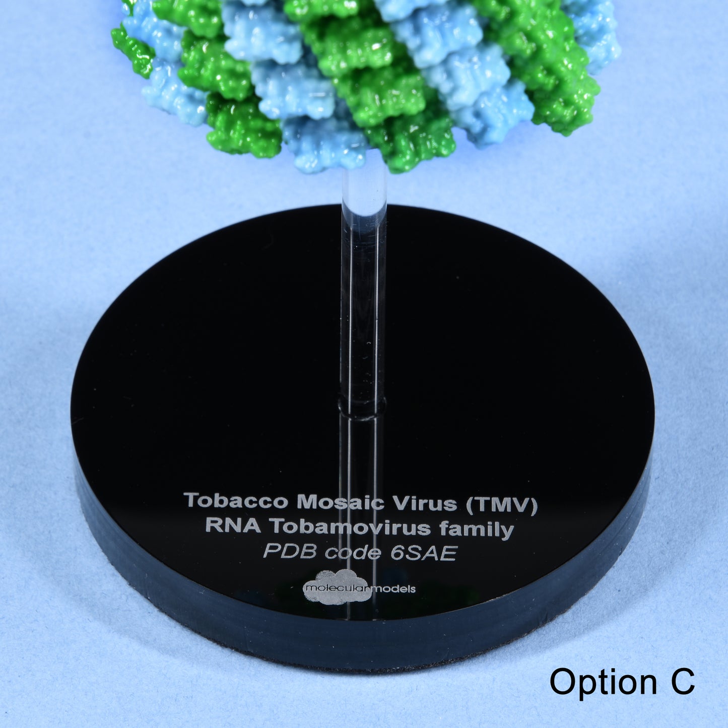 04 Tobacco mosaic virus (TMV)