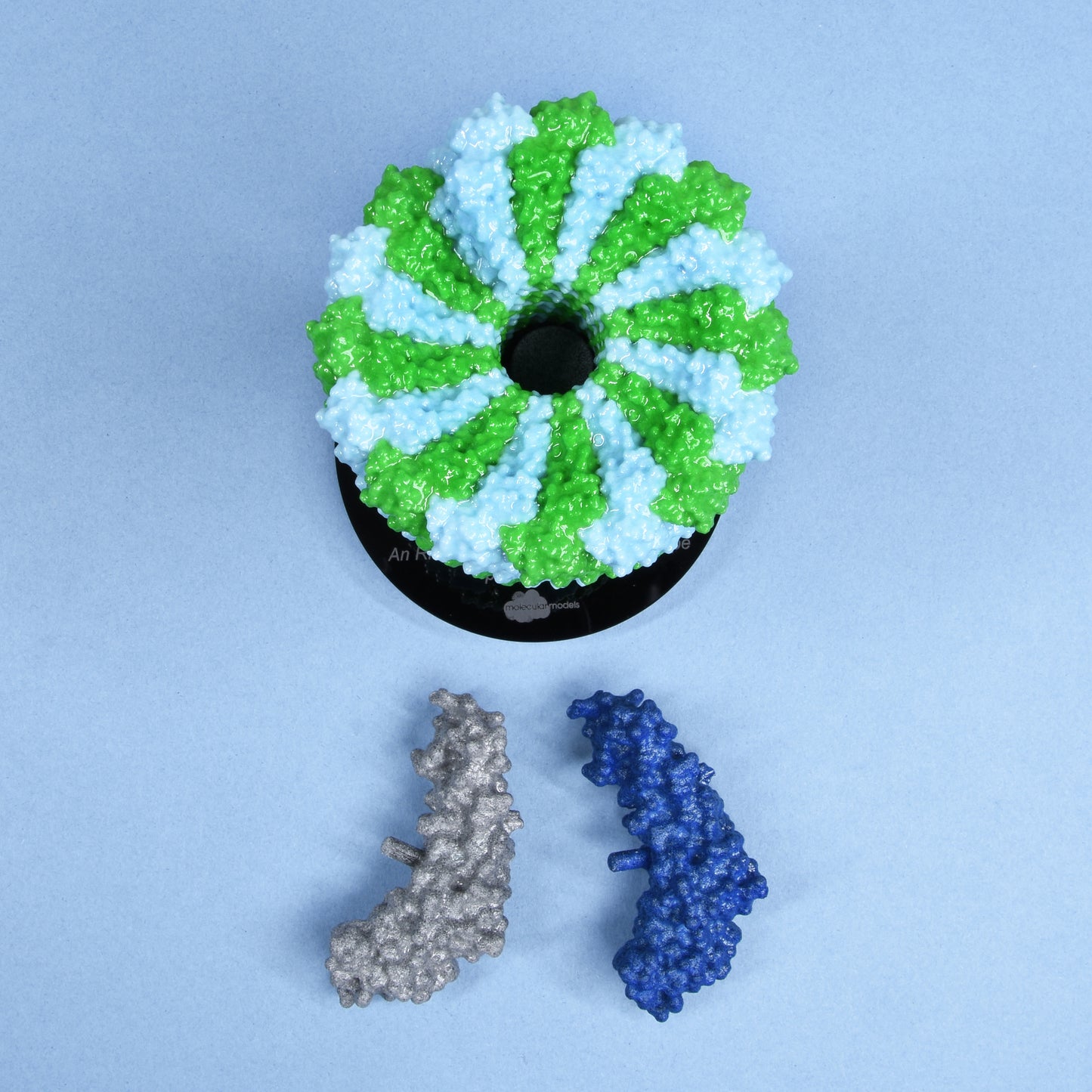 04 Tobacco mosaic virus (TMV)