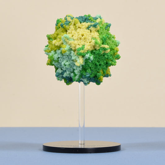 01 Adeno-associated virus