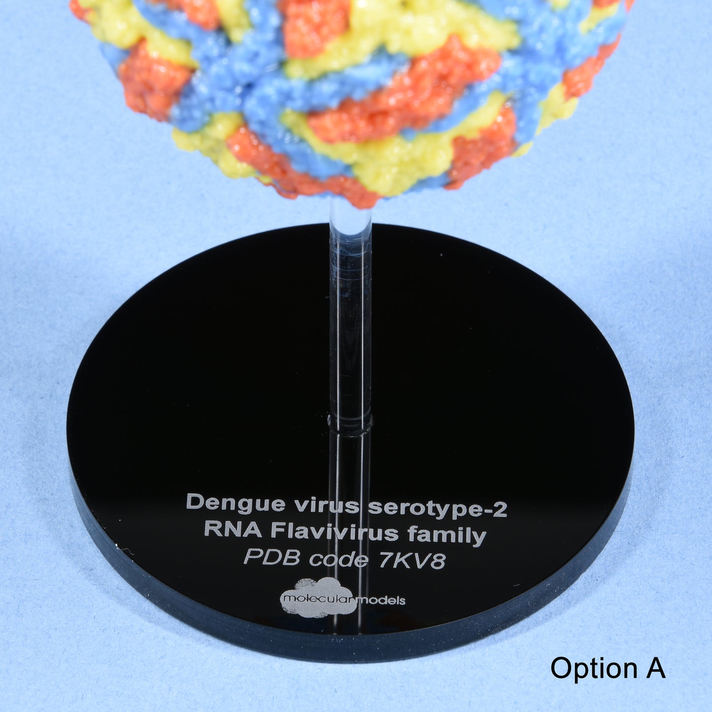 02 Dengue-fever virus