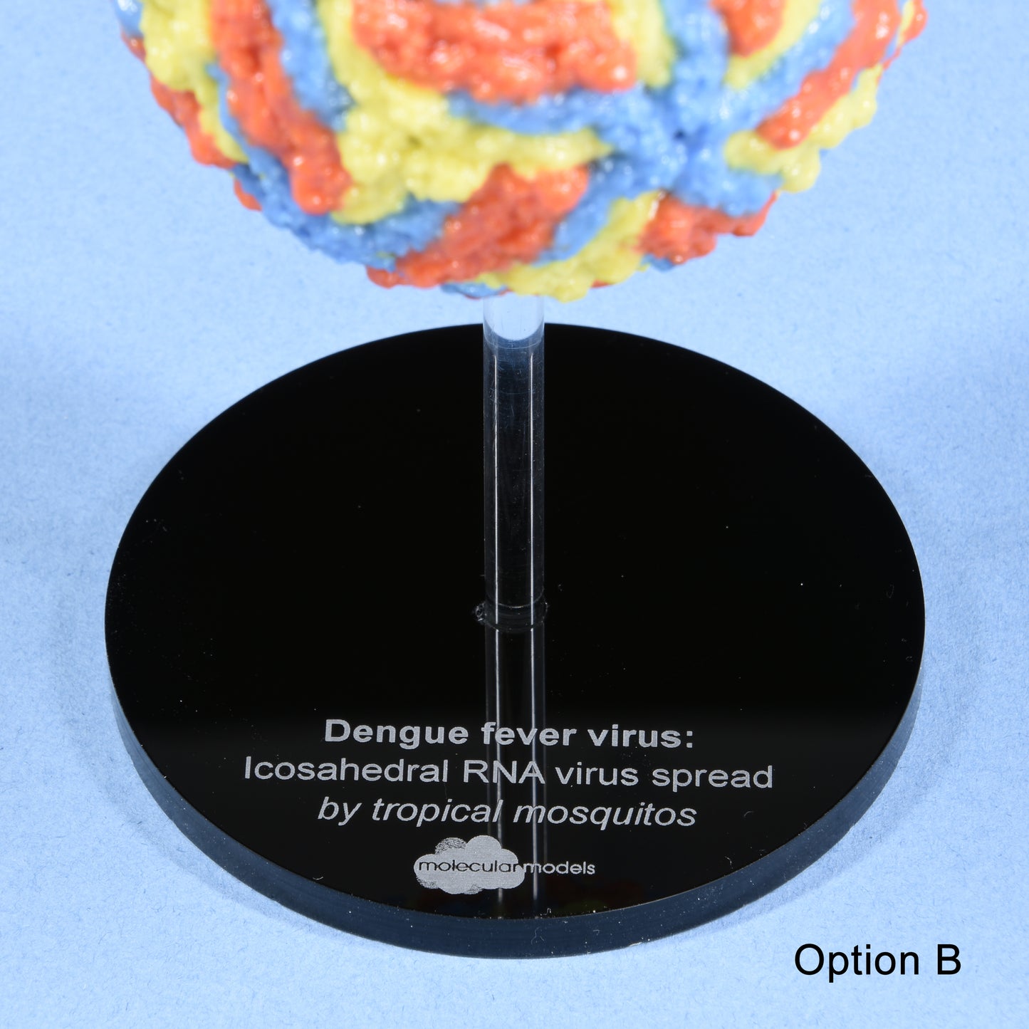 02 Dengue-fever virus